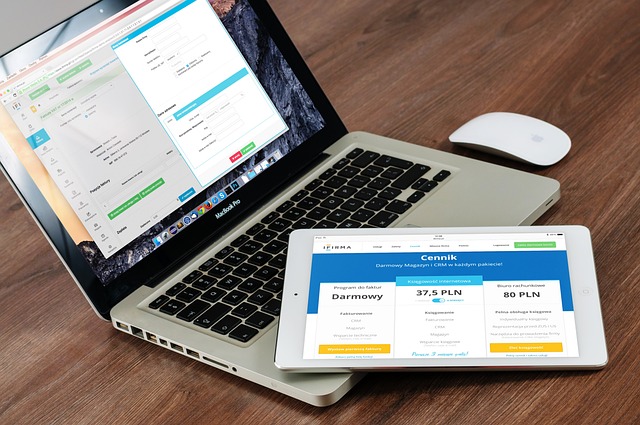 Web Application VAPT